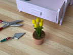 1:12 Miniature Clay Planter Pot , Miniature Potted Flowers , Dollhouse Potted Flowers , Dollhouse Flowers , Miniature Flowers - H031