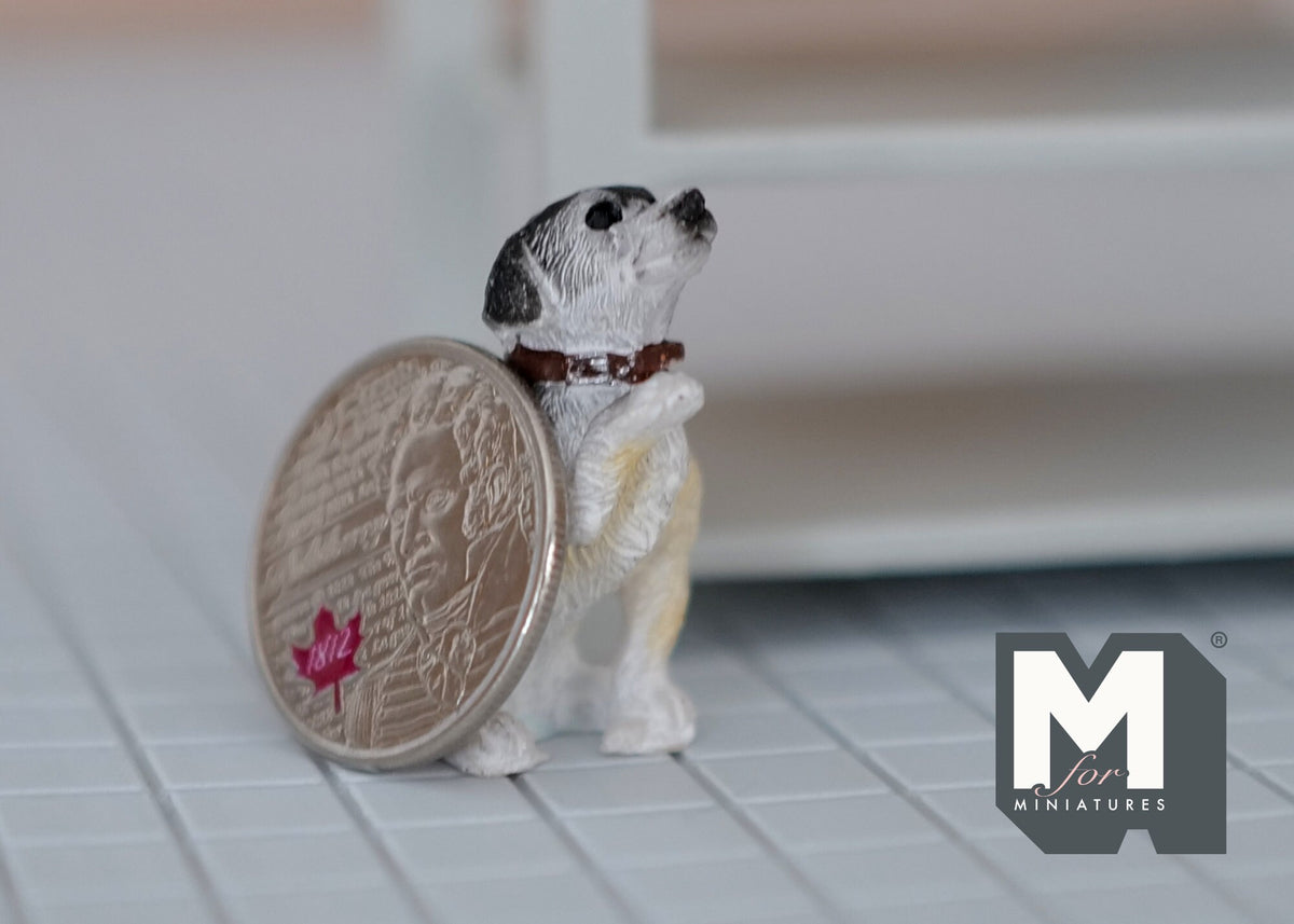 Miniature Jack Russell Terrier Giving Paw 1:12 Scale Dog Shaking Hand 1-5/16 inch tall (resin) - C055