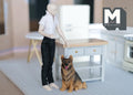 1:12 scale miniature sitting German Shepherd dog in black and tan, shown on a kitchen floor beside a poseable figure