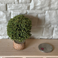 Dollhouse Miniature Round Hedges 1.5" Set of 2 , Miniature Round Bushes - I036