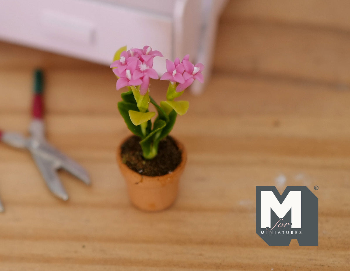 1:12 Scale Miniature Potted Flowers in Terracotta Pot, 1-1/2 inch tall, DIY Dollhouse Supply (pink)