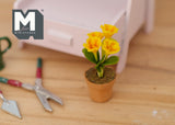 1:12 Miniature Clay Planter Pot , Miniature Potted Flowers , Dollhouse Potted Flowers , Dollhouse Flowers , Miniature Flowers - F087