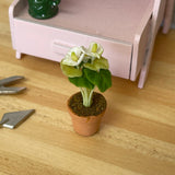 1:12 Miniature Clay Pottery Flower , Miniature Potter Flower , Miniature Flower in Clay Pot - F088