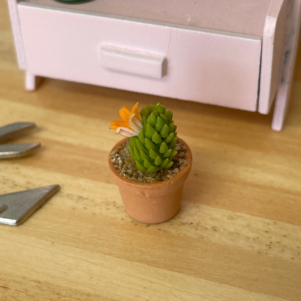 1:12 Miniature Cactus in Round Clay Pot Dollhouse Garden Flowers and Leaves (short) - H033