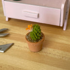 1:12 Miniature Cactus in Round Clay Pot Dollhouse Garden Flowers and Leaves (short) - H033