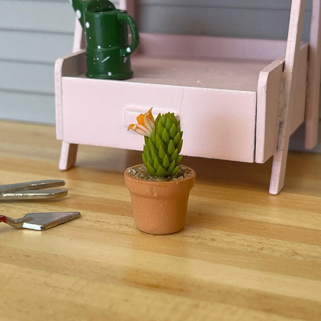 1:12 Miniature Cactus in Round Clay Pot Dollhouse Garden Flowers and Leaves (short) - H033