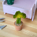 1:12 scale miniature potted crested cactus in yellow green in a round clay pot, shown on a wood floor by a pink bench
