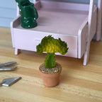 1:12 Miniature Cactus in Round Clay Pot Dollhouse Garden Flowers and Leaves (Short) - H033