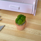 1:12 Miniature Cactus in Round Clay Pot Dollhouse Supplies Garden Flowers and Leaves (Short) -  F088