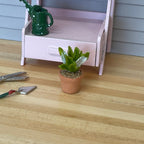 1:12 Miniature Cactus in Round Clay Pot Dollhouse Supplies Garden Flowers and Leaves (Short) - H033