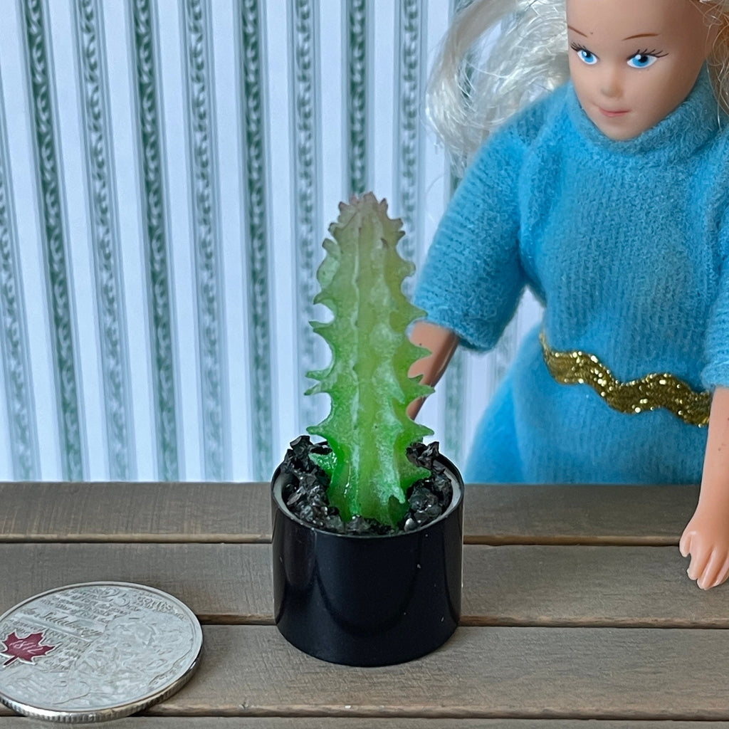 1:12 Miniature Cactus in Round Metal Pot Dollhouse Supplies Garden Flowers and Leaves (Tall) - B057