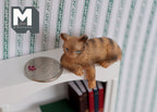 1:12 Scale Miniature Cleo the Tabby Cat, Shelf Sitter with Paws Over Edge, 1-3/4 inch tall, DIY Dollhouse Supply (ginger)