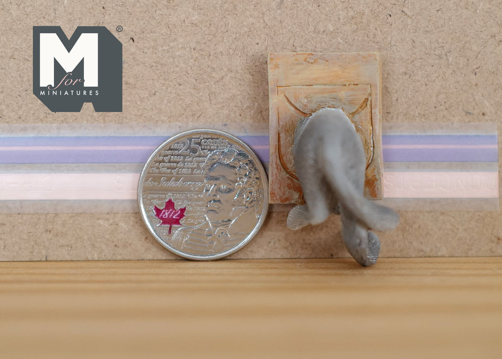 1:12 Dollhouse Supplies Miniature Smokey In A Cat Flap - C052