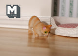 1:12 Dollhouse Supplies Miniature cat kitten 1 12th pet - C048 C052