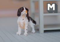 1:12 Dollhouse Miniature Standing Springer Spaniel C055