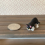 1:12 Miniature Black and White Cat (style C) - C064