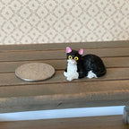 1:12 scale miniature lying cat in black and white with yellow eyes, shown on a wood bench beside a coin for scale