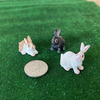 1:12 Miniature Bunnies Set of 3 , Miniature Rabbits , Miniature Hare , White Bunny , Black Bunny , Brown Bunny - (style B) - C053