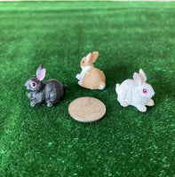 1:12 Miniature Bunnies Set of 3 , Miniature Rabbits , Miniature Hare , White Bunny , Black Bunny , Brown Bunny - (style D) - C053