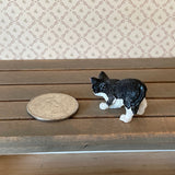 1:12 Miniature Black and White Cat (style C) - C064