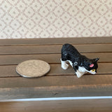 1:12 Miniature Black and White Cat (style C) - C064