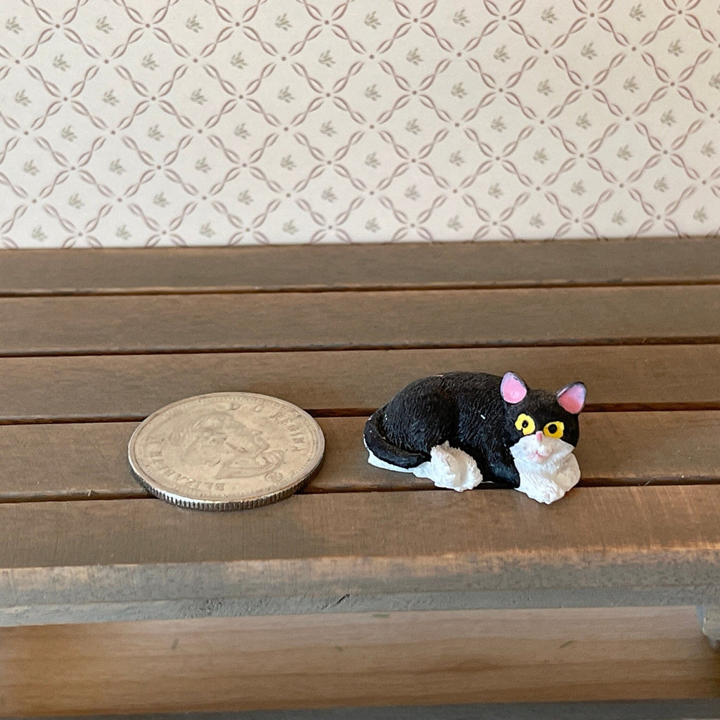 1:12 scale miniature curled up cat in black and white, lying on a wood bench beside a coin for scale