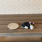 1:12 scale miniature curled up cat in black and white, lying on a wood bench beside a coin for scale