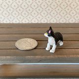 1:12 Miniature Black and White Cat (style E) - C064