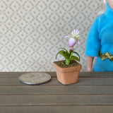 Dollhouse Supplies potted flower / dolls house Clay Orchid / decoration living room 1 12th scale miniature - F085