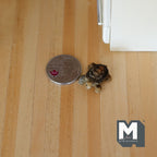 1:12 Scale Miniature Tortoise Figurine, Patterned Shell, 15/16 inch long, DIY Dollhouse Supply