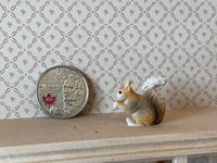 Miniature Squirrel Eating Dollhouse Large Scale Animal - G047