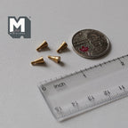 1:12 scale miniature brass round tapered cabinet knobs, set of 4, shown with a coin and a ruler for scale