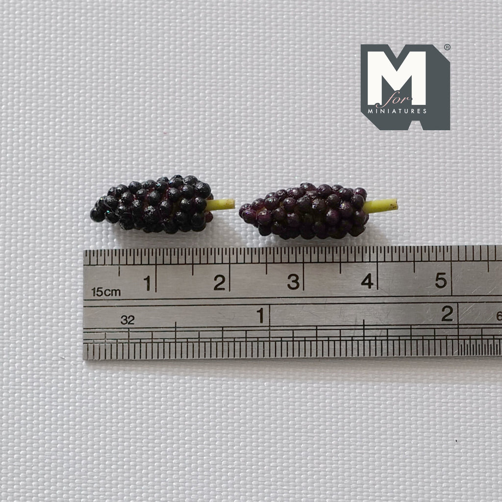 1:12 Dollhouse Supplies Miniature fruit 2 x grape - D059