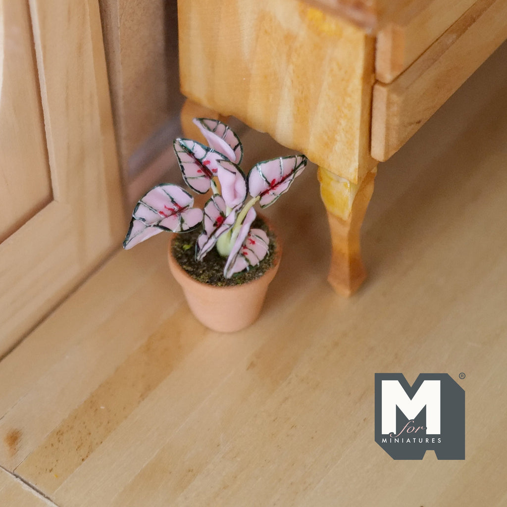 1:12 Scale Miniature Potted Pink and Green Variegated Leaf Plant in Clay Pot, 1-9/16 inch tall, DIY Dollhouse Supply