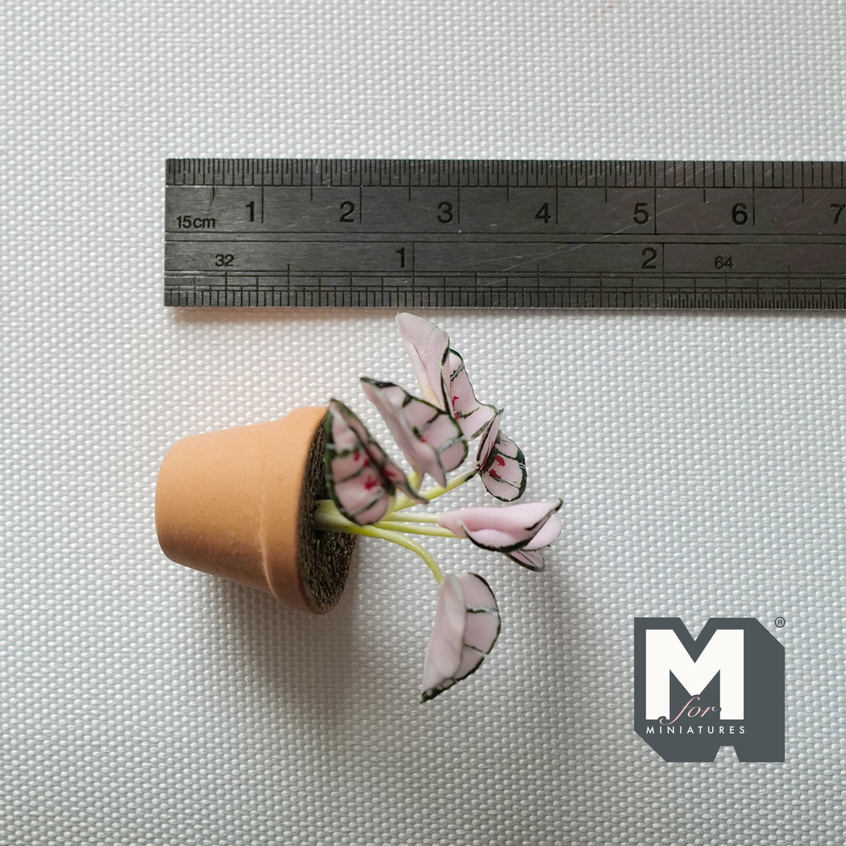 1:12 Scale Miniature Potted Pink and Green Variegated Leaf Plant in Clay Pot, 1-9/16 inch tall, DIY Dollhouse Supply