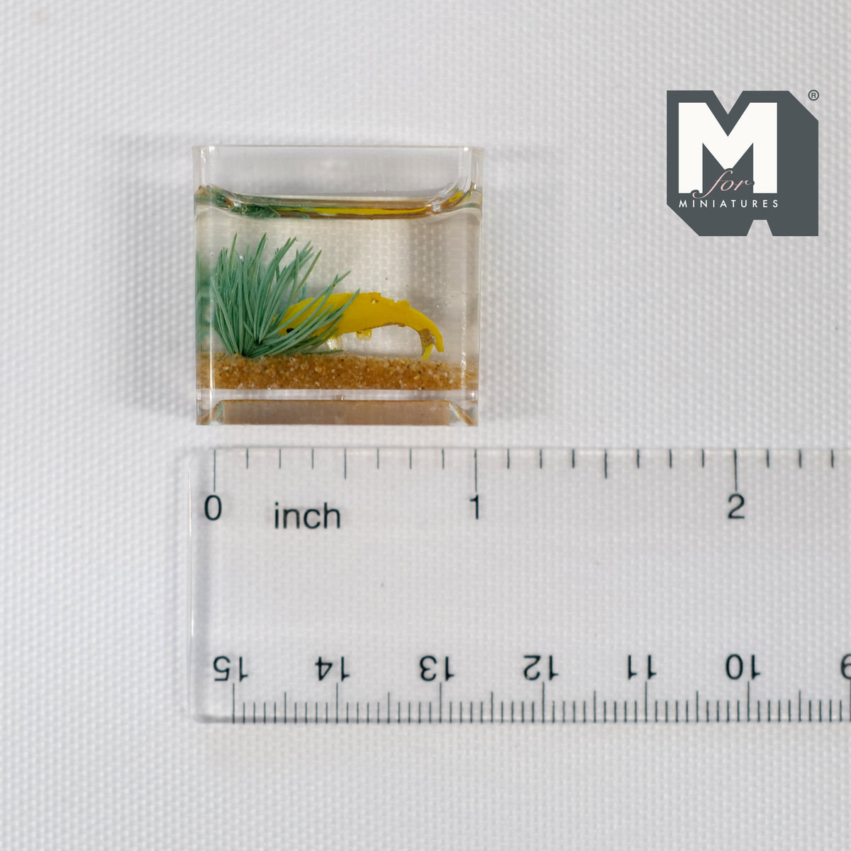 1:12 Scale Miniature Glass Fish Tank with Fish and Seaweed, 1 inch tall, DIY Dollhouse Supply