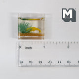 Miniature Fish Tank , 1:12 Scale Fish in Tank Hiding in Seaweed Dollhouse Decoration Fish Bowl - D078