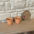 1:12 scale miniature clay hexagon flower pots, set of 2 in terracotta color, shown beside a coin for scale
