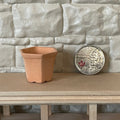 1:12 scale miniature clay hexagon flower pot in terracotta, shown empty on a wood shelf beside a coin for scale