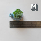 1:12 Miniature Ceramic Snail Planter Flower Pot 1 Inch Scale Dollhouse Supplies Snail Pot - B072