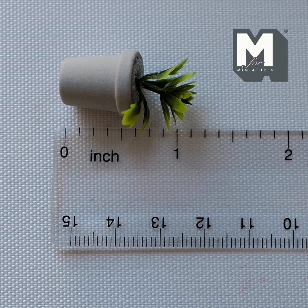 1:12 Scale Miniature Potted Agave Succulent in White Round Pot, 1-3/16 inch tall, DIY Dollhouse Supply (cast resin)