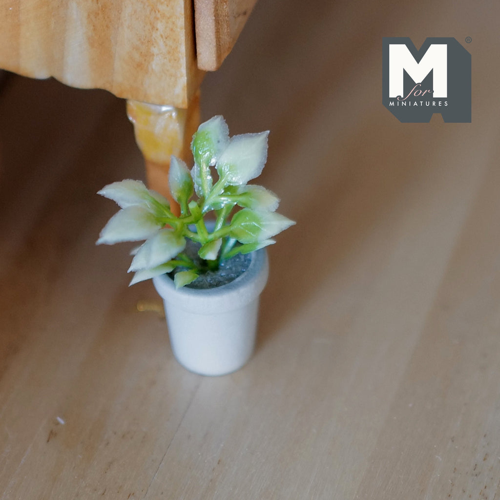 1:12 Scale Miniature Potted Plant, Variegated Leaves, White Round Pot, 1-5/8 inch tall, DIY Dollhouse Supply