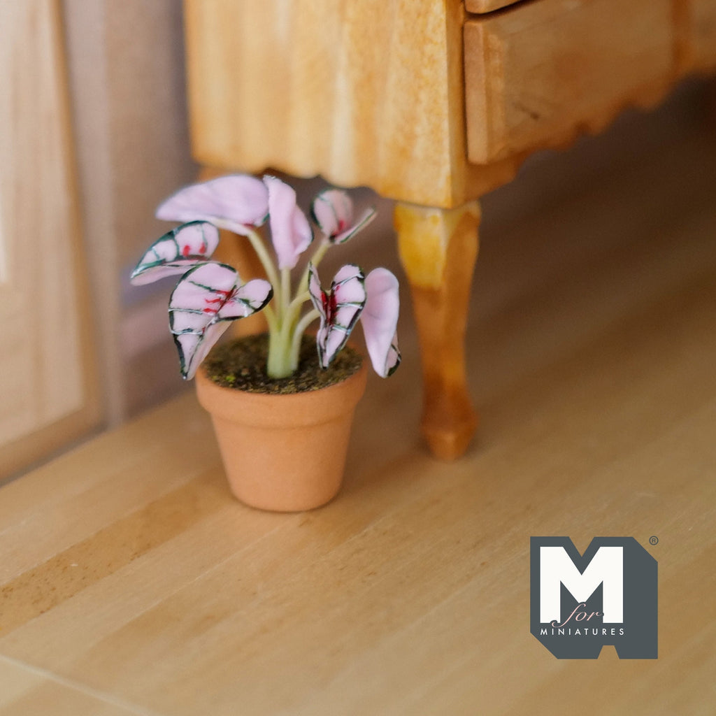 1:12 scale miniature potted pink and green variegated leaf plant in a clay pot, on a wood floor beside a dresser leg