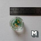 1:12 Scale Miniature Glass Fish Bowl with 2 Goldfish and Plants, 1 inch dia., DIY Dollhouse Supply