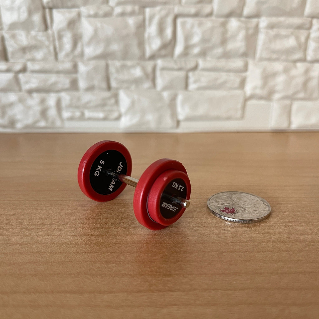 Miniature Dumbbell with Replacement Plates , 1:12 Scale Dollhouse Hand Weights Weightlifting Iron Exercise Weights (plastic) (red) - F091