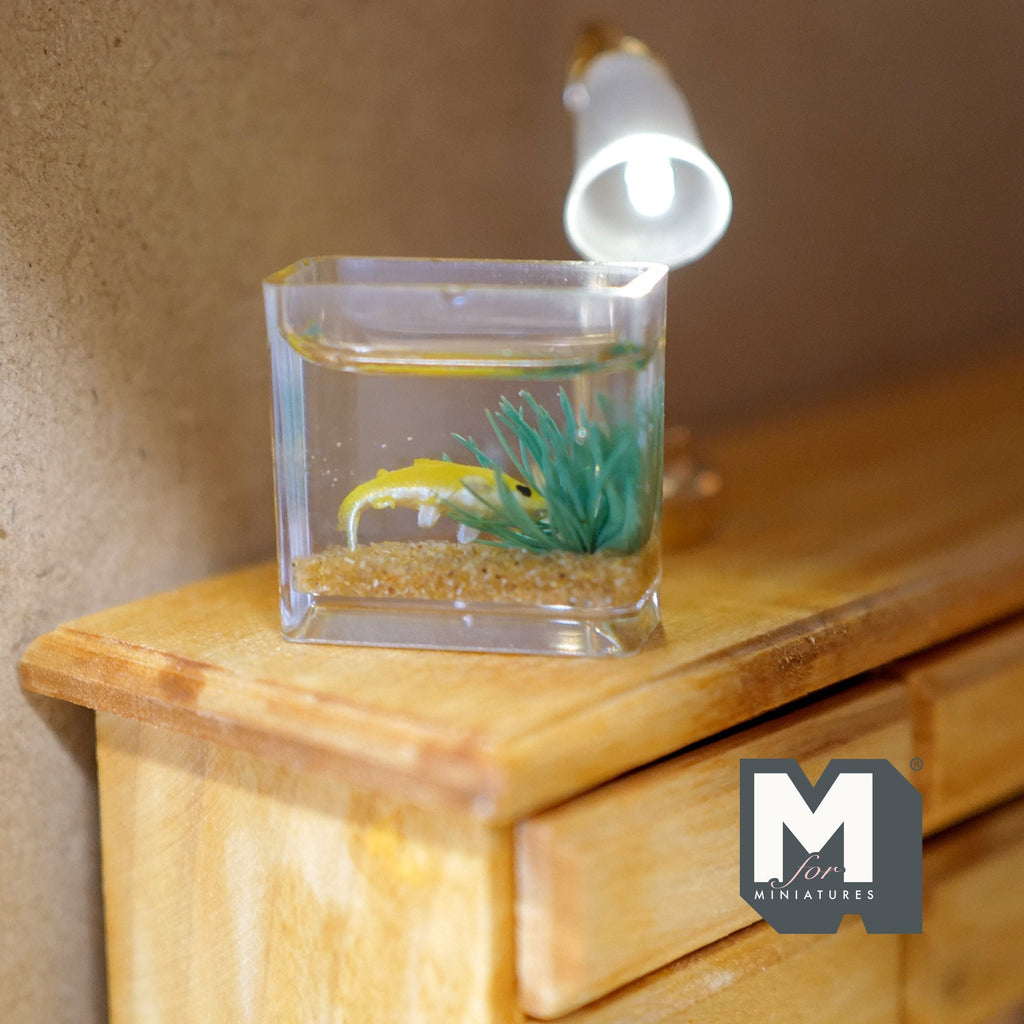 1:12 scale miniature glass fish tank with yellow fish and green seaweed, clear square tank on a wood dresser