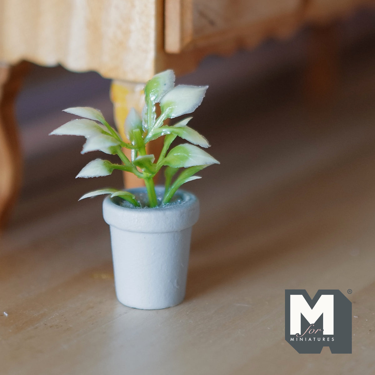 1:12 Scale Miniature Potted Plant, Variegated Leaves, White Round Pot, 1-5/8 inch tall, DIY Dollhouse Supply