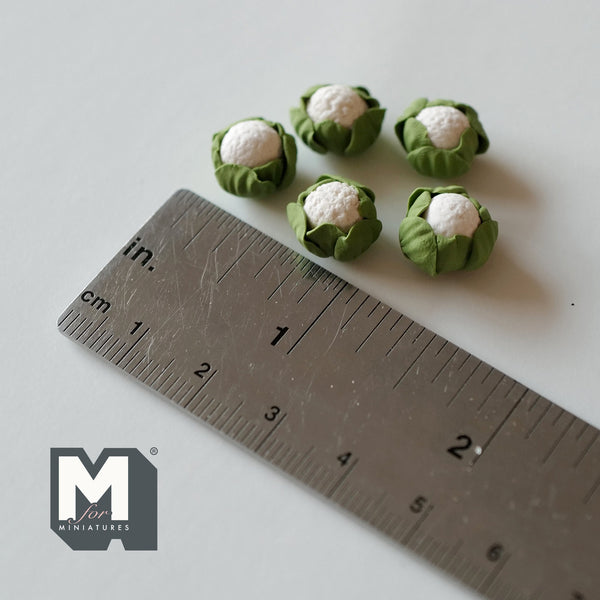 1:12 Scale Dollhouse Miniature Vegetable 5 x Mini Cauliflowers 3/8 inch (Dia.) - E031