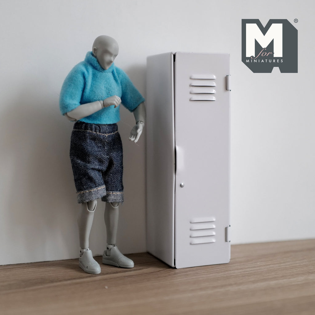 1:12 Scale Miniature Cube Locker , Work Place Locker , Storage Locker , Locker Cabinet  - K022