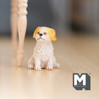 Chiot Cavalier King Charles assis miniature à l'échelle 1:12, 2,4 cm de hauteur, fournitures pour maison de poupée DIY (résine coulée) (blanc et fauve)